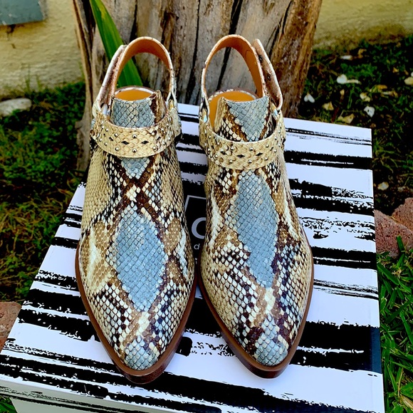 DV DOLCE VITA | Zoelle Harness Mule - Picture 3 of 10